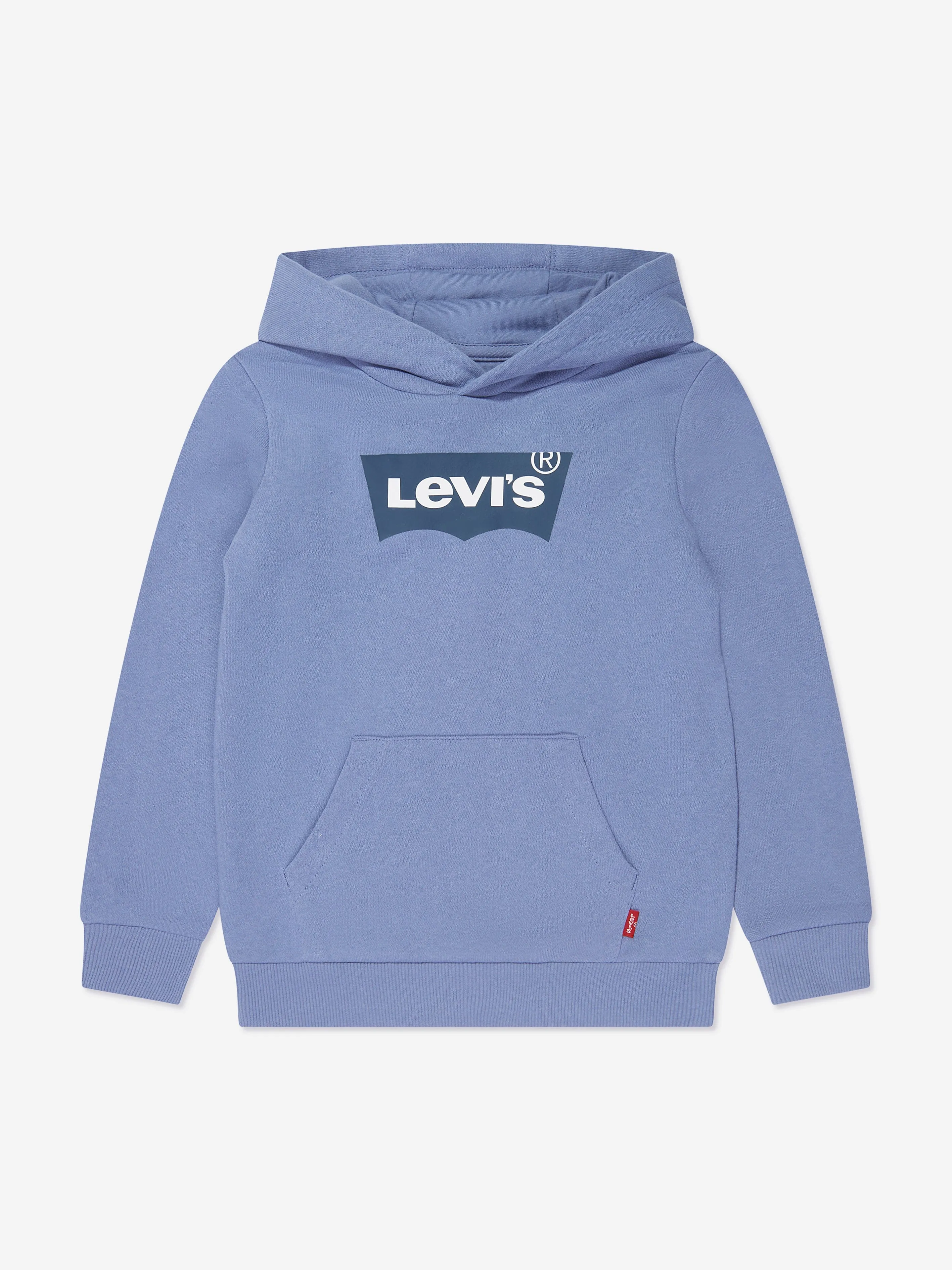 Levi's Boys Batwing Pullover Hoodie in Blue